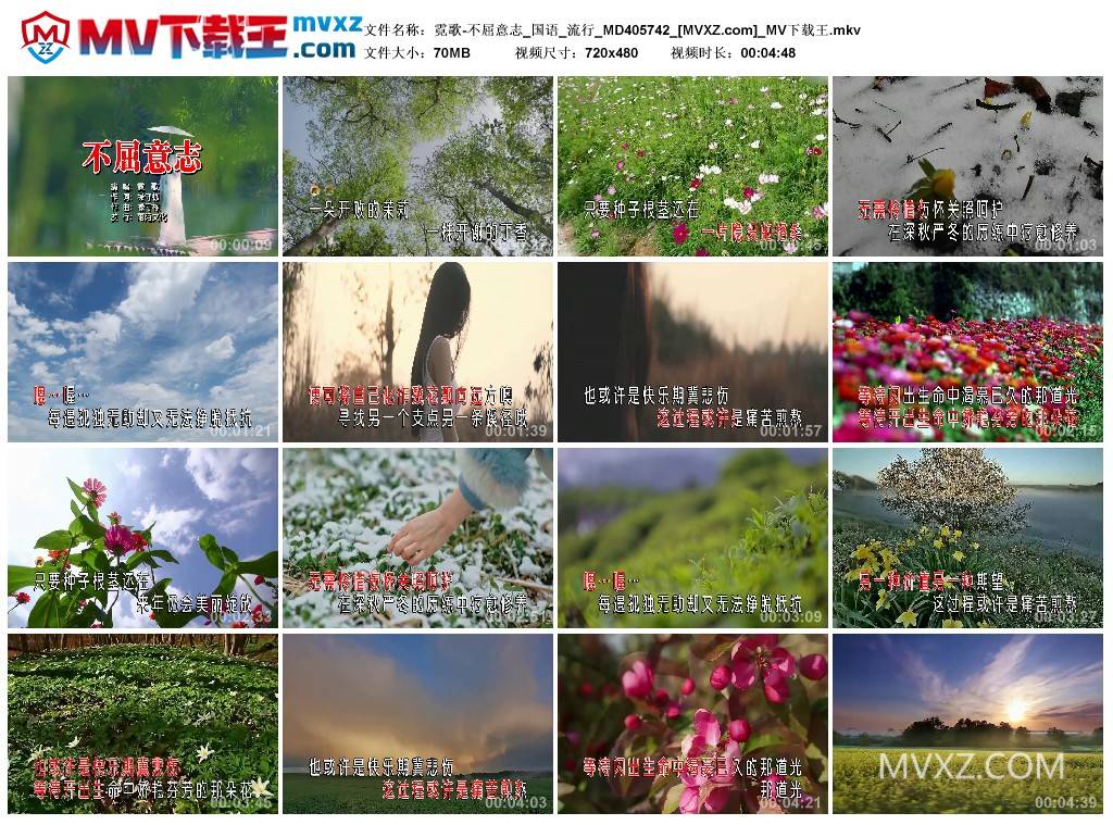 霓歌-不屈意志_国语_流行_MD405742